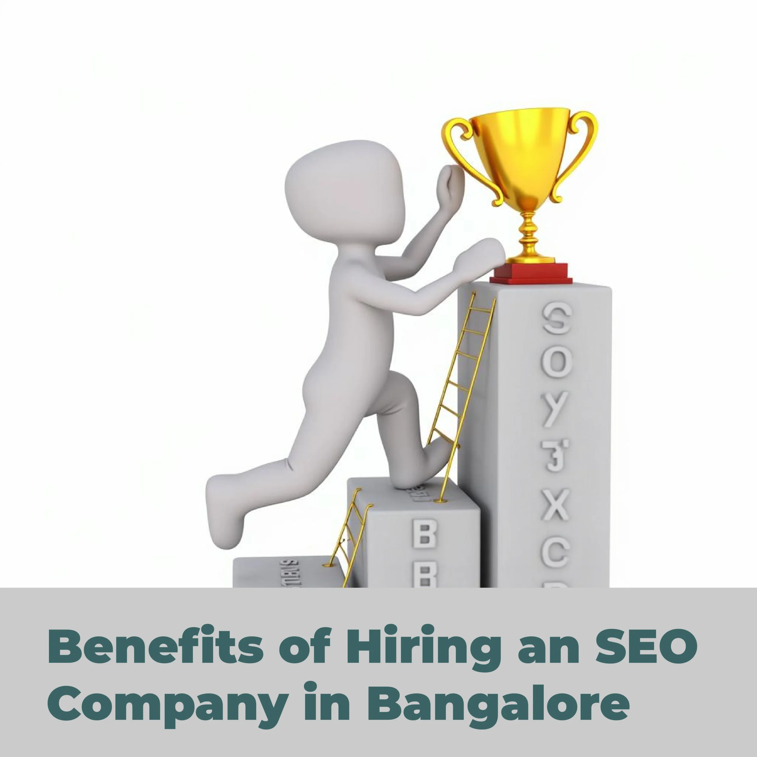 SEO Company in Bangalore